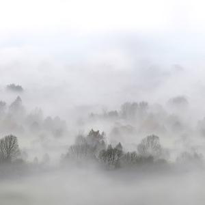Morning Fog image