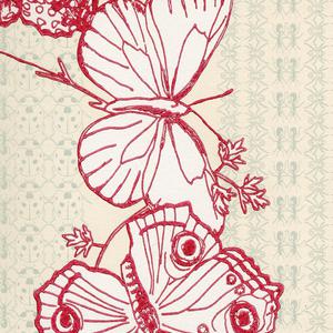 Bugs & Butterflies - Raspberry image