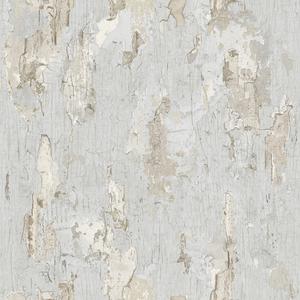 Antique Painted Wall - Grey image