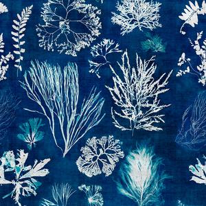 Algae - Navy Blue image