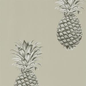 Pineapple Royale - Charcoal / Champagne image
