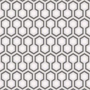 Hicks Hexagon image