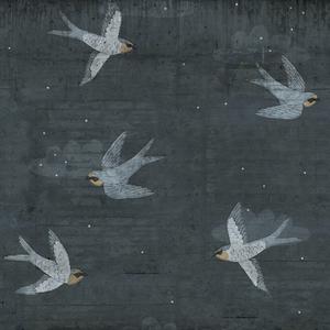 Concrete Art - Night Swallow image