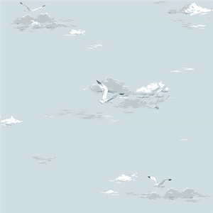 Seagulls - Sky image