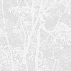Cow Parsley image