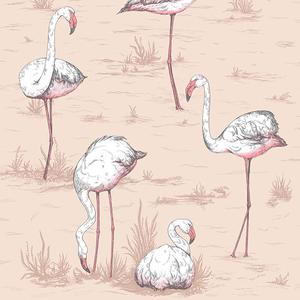 Flamingos image