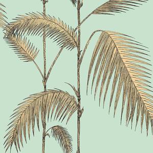 Palm Leaves image