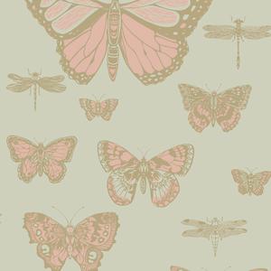 Butterflies & Dragonflies image