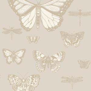 Butterflies & Dragonflies image
