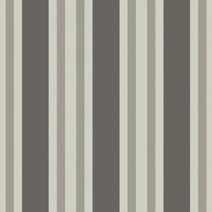 Polo Stripe image