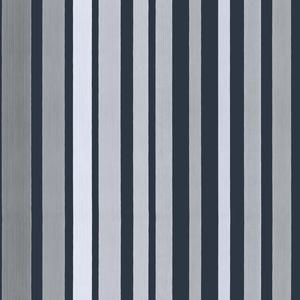 Carousel Stripe image