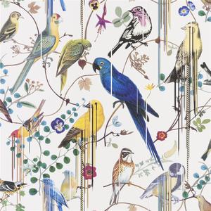 Birds Sinfonia - Perce Neige image