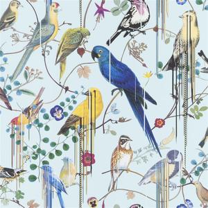 Birds Sinfonia - Source image