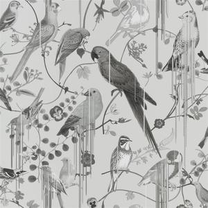 Birds Sinfonia - Graphite image