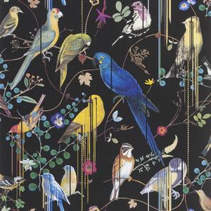 Birds Sinfonia - Crepuscule image
