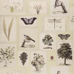 Flora And Fauna - Canvas image