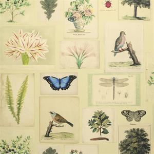 Flora And Fauna - Parchment image