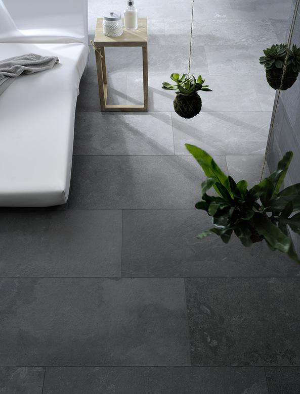 Ardesia - Ceneres image