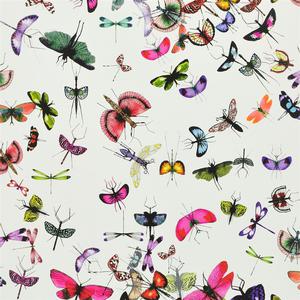 Mariposa - Perroquet image