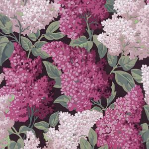 Lilac Grandifflora - Magenta & Blush On Charcoal image