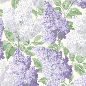 Lilac - Lilac & Dove On White image
