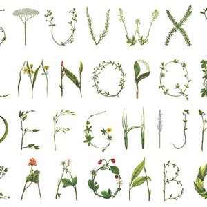 Floral Alphabet image