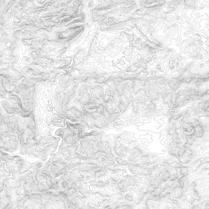 Elevation Lines - White image