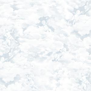 Chubby Cherubs - Blue image