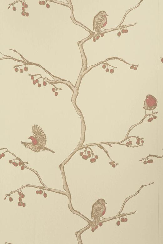 The English Robin - Parchment image