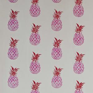 Pineapple - Red / Pink image