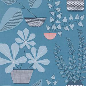 House Plants - Blue Room image