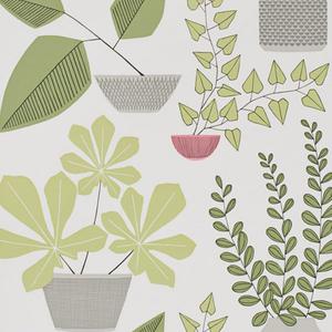 House Plants - Olive image