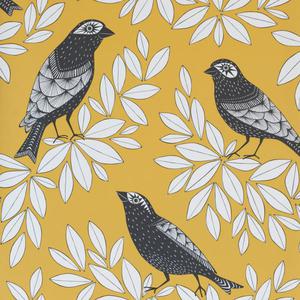 Songbird - Summer image