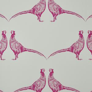 Pheasant - Pink image