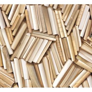 Chaotic ivory bookshelves image
