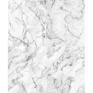 White gray coloured marble slabs image