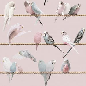 Lovebirds - Magnolia image