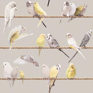 Lovebirds - Warm Grey image