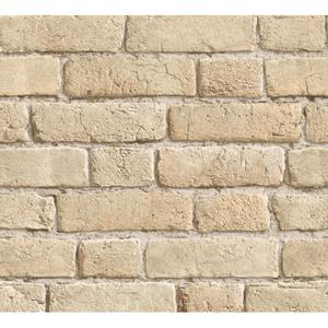 Ash beige old bricks image