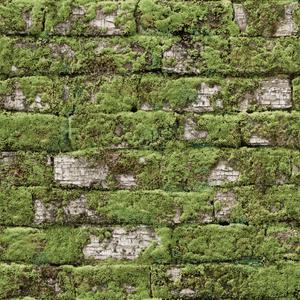 Old mossy white bricks image