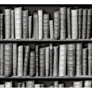 Black and white bookshelves image