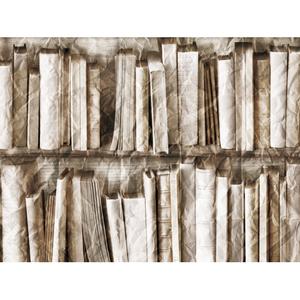 Crumpled beige bookshelves image