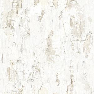 Antique Painted Wall - White image