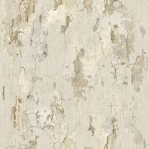 Antique Painted Wall - Beige image