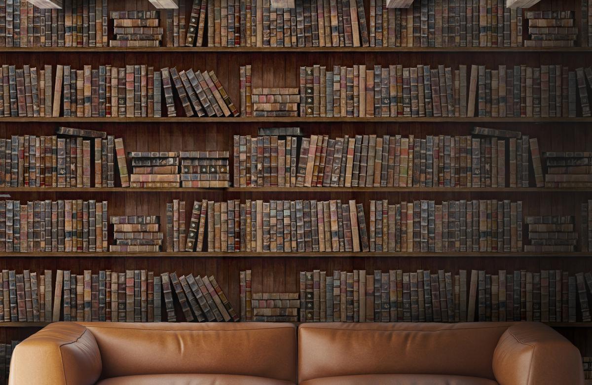 Book Shelves image