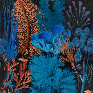 Coral Reef - Ultramarine image
