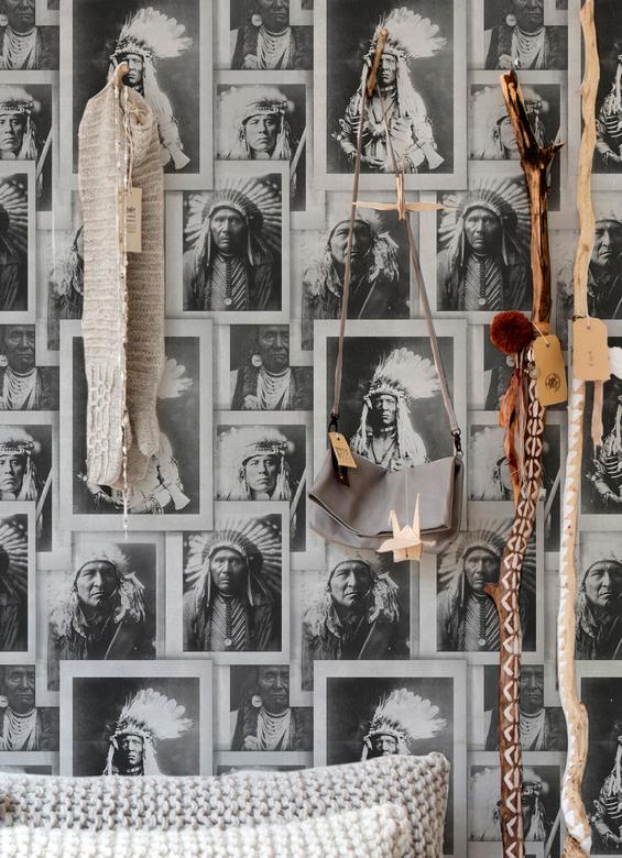 Indian Chiefs image