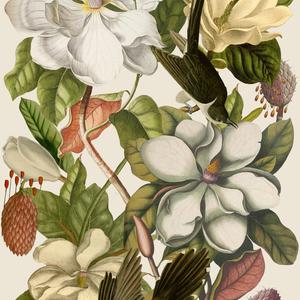 Magnolia - Taupe image