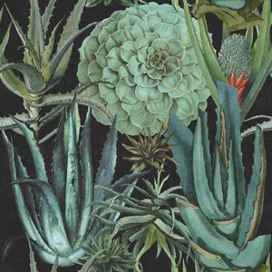 Succulentus - Anthracite image