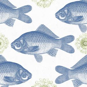 Fish - Blue image